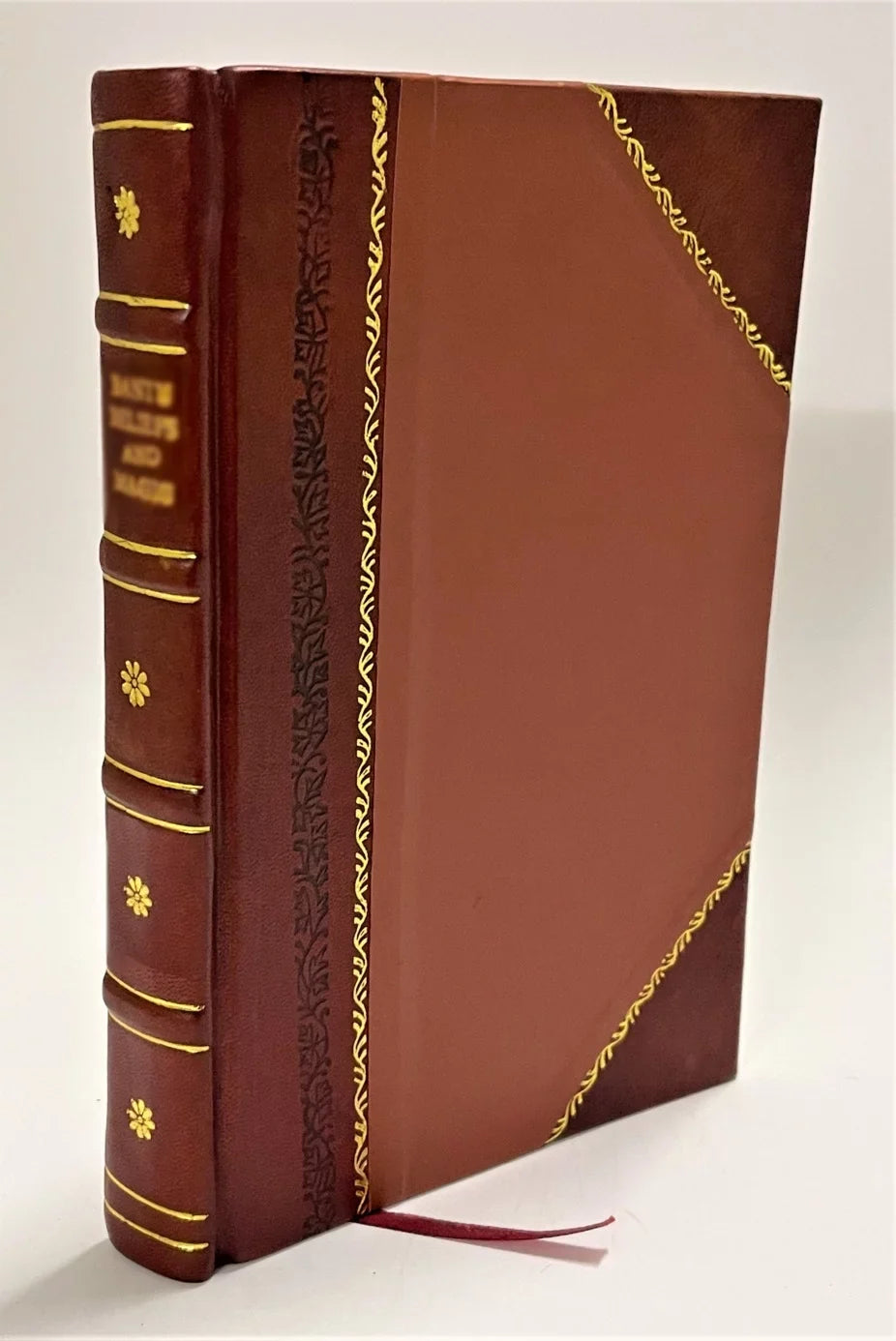 I.O.O.F. : History of Odd fellowship in Maine [Leather Bound]