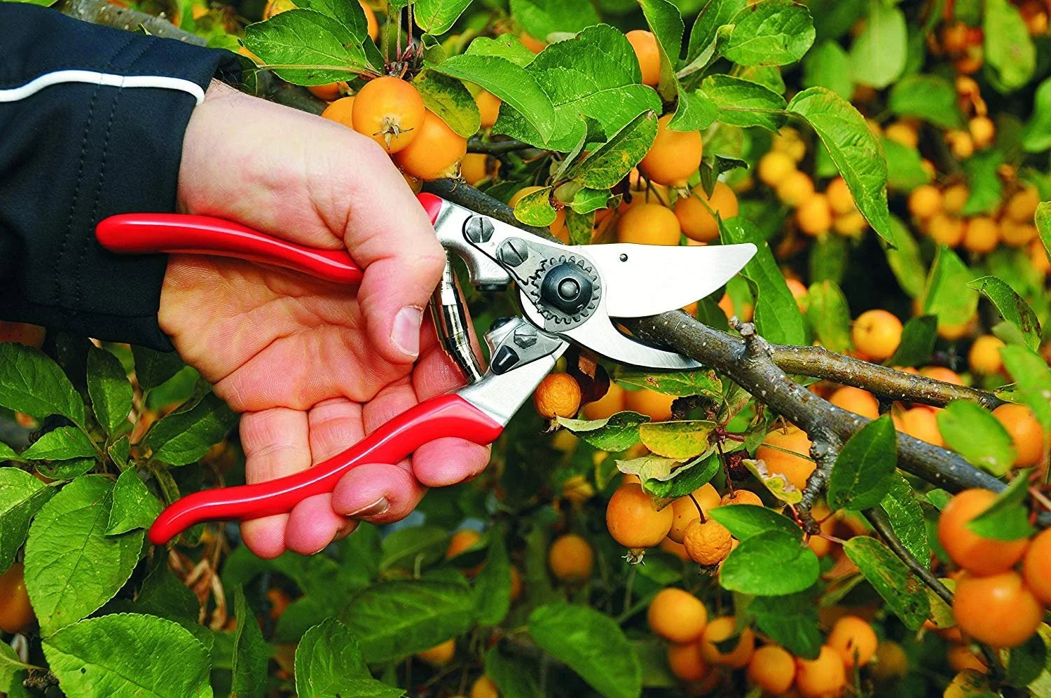 Felco F9 Left Handed 5.25 in. Bypass Pruner