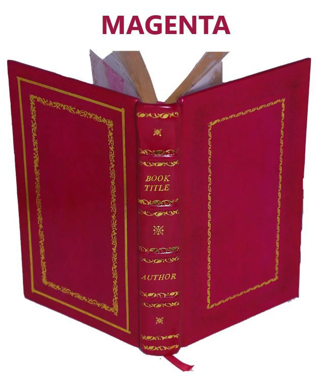 Omega: the last days of the world, by Camille Flammarion; with illustrations by Jean Paul Laurens, Saunier, Méaulle, Vogel, Rochegrosse, Geradin, Chovin, T [Premium Leather Bound]