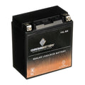 Chrome Battery YTX16L-BS (16L-BS 12 Volt,14 Ah, 230 CCA) Pwc Battery for Kawasaki (jet Ski) Js400 Year (76)