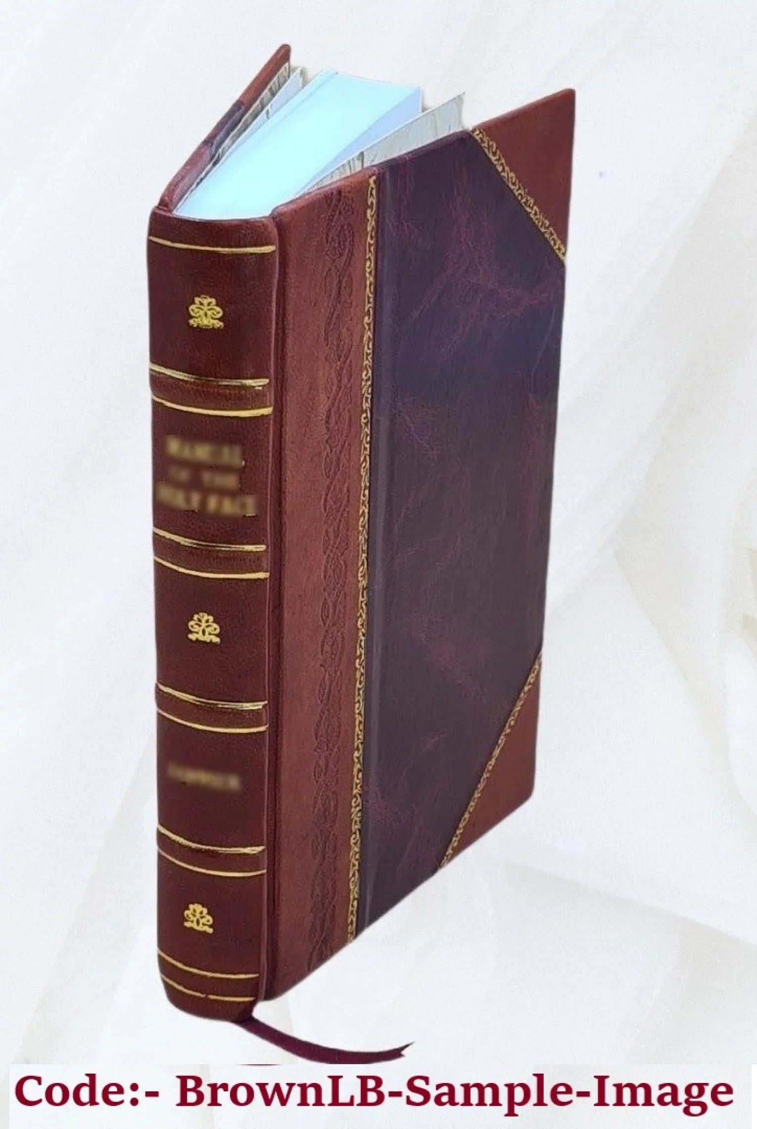 Metamorphoseon libri XV. Collatis Academiae Berolin. Codice MS. alusque bonis libris curavit F.H. Bothe. 1818 [Leather Bound]