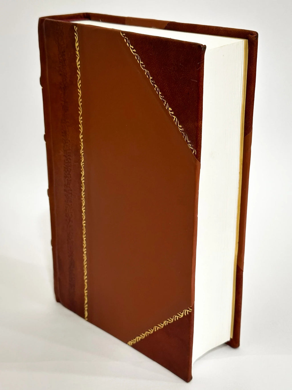 Rivista Bibliografia Italiana / Salvatore Minocchi (1903) (1903) [Leather Bound]