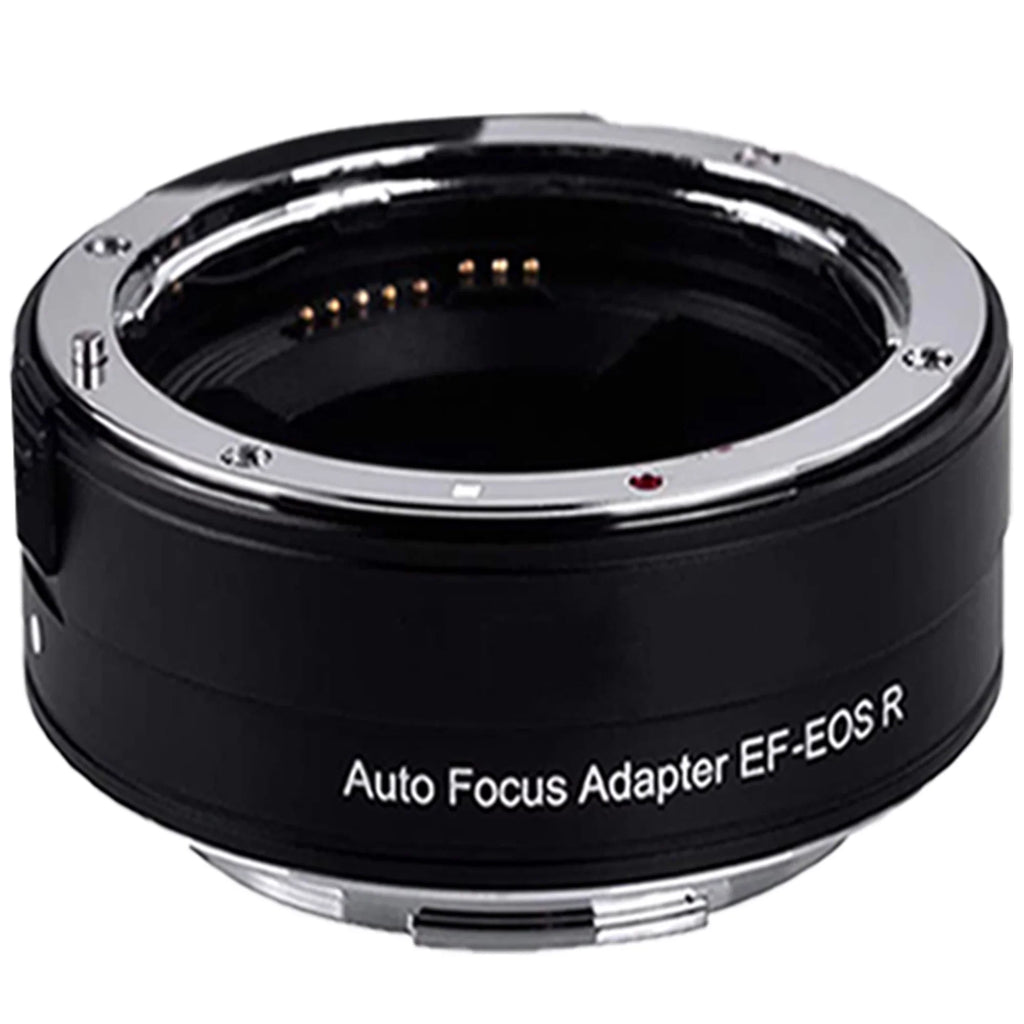 Canon EOS R5 Mirrorless Camera with RF24-105mm + 75-300mm Lens + Mount Adapter + 2 Pack SanDisk 32GB + ZeeTech Accessory