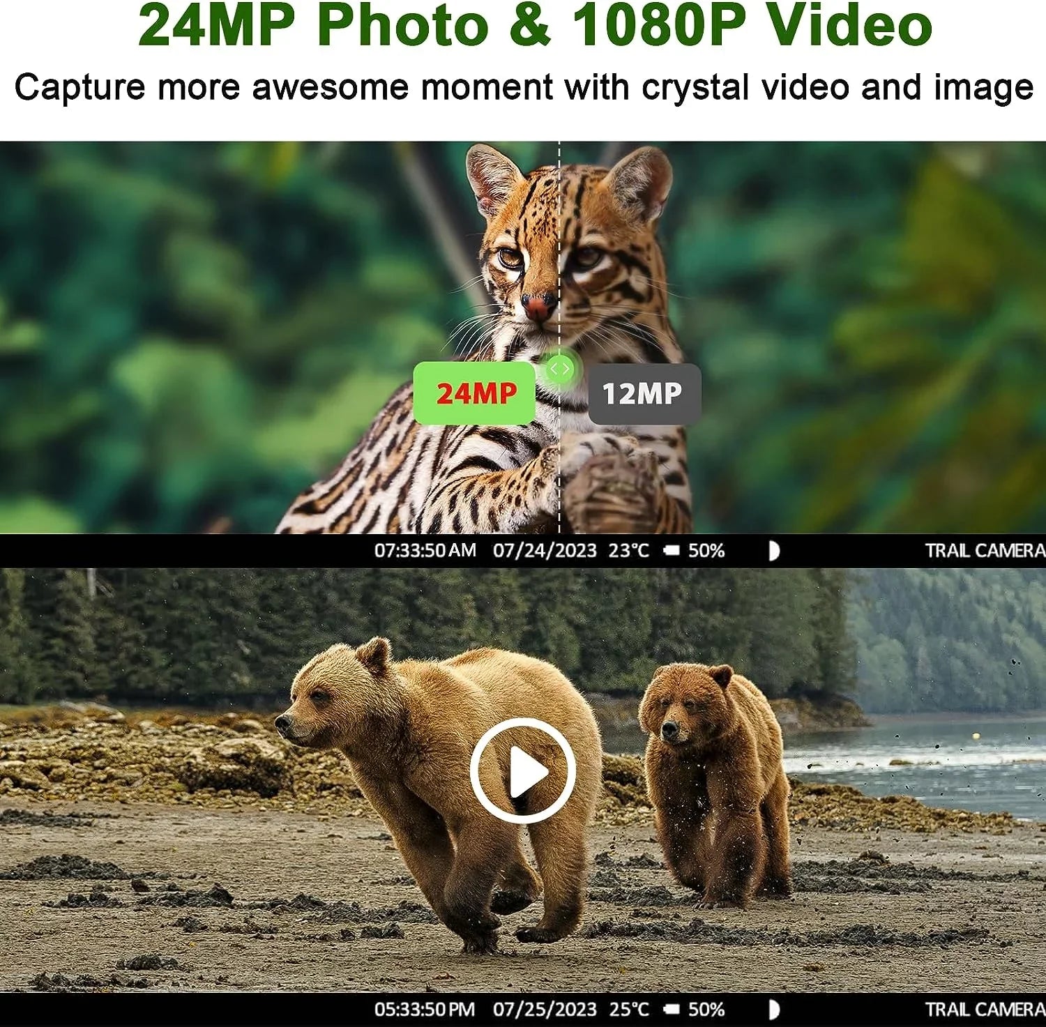 CAMPARK 4G LTE Cellular Trail Camera Sends Picture Video to Cell Phone - 24MP 1080P Game Hunting Camera with Night Vision Motion Activated Waterproof for Wildlife Monitoring Trail Cam with SD Card